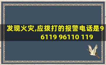 发现火灾,应拨打的报警电话是96119 96110 119 110